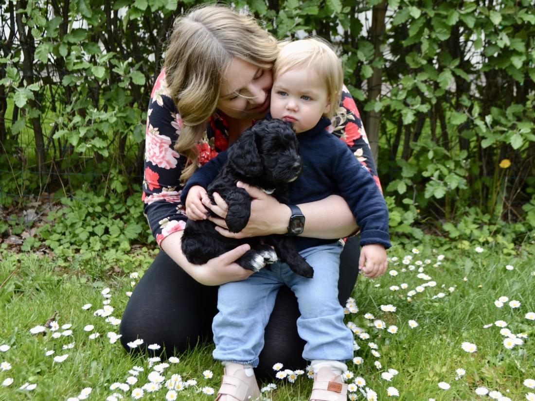 hund
