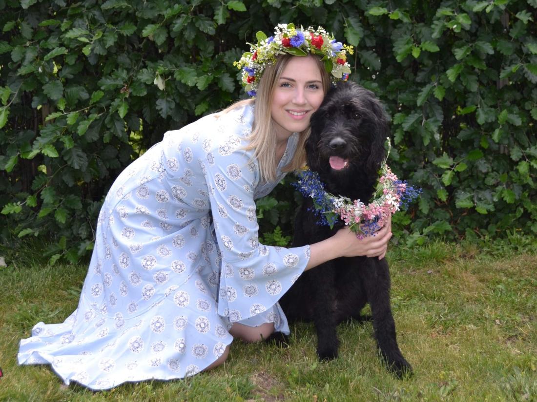 hund